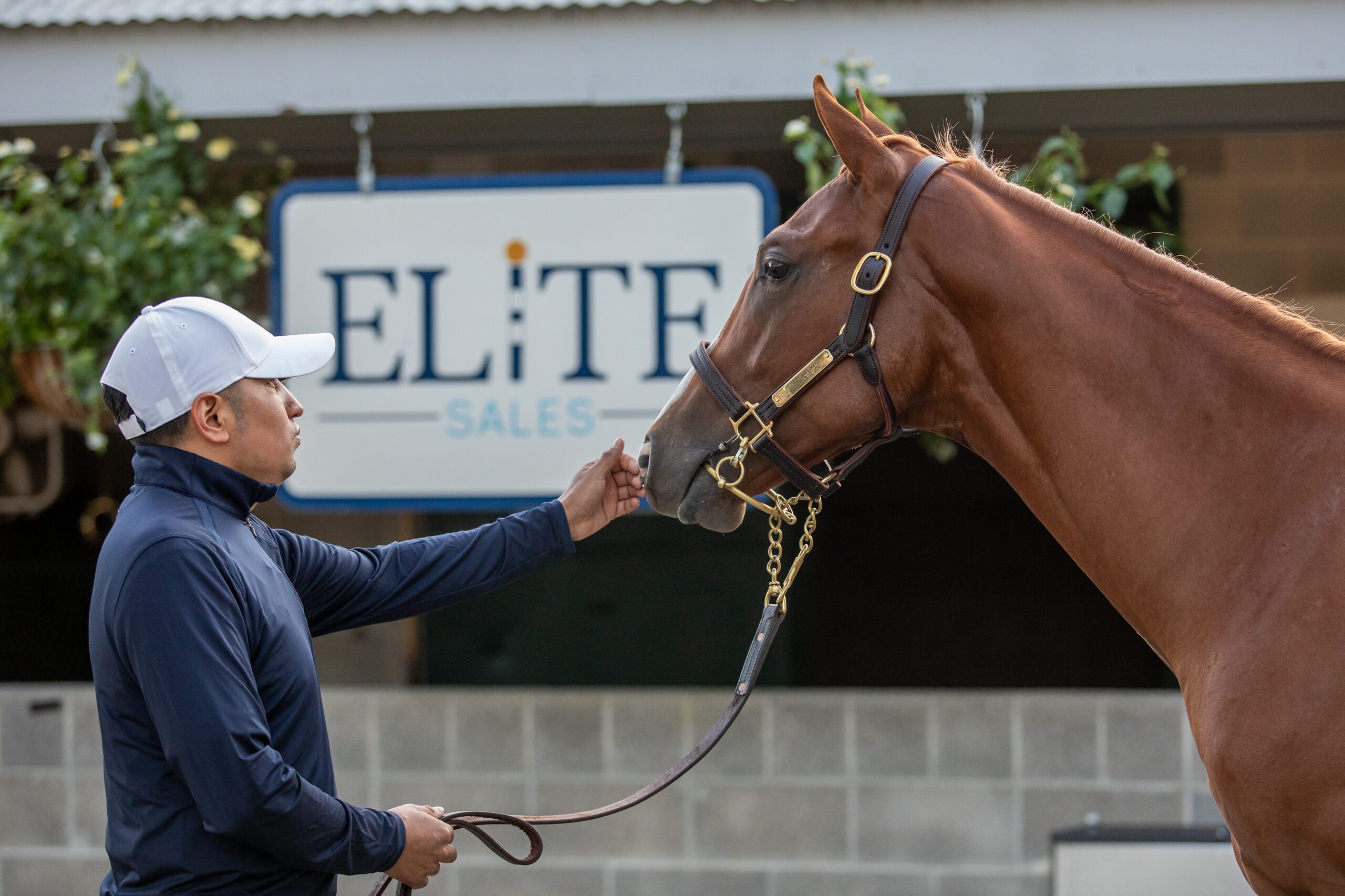 elite sales keeneland september 2023 (87) Elite Sales